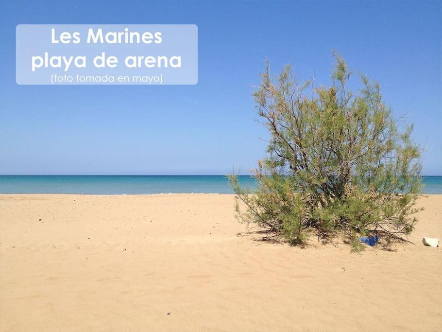 Piso Bajo 3 2 Banos Y Gran Terraza Appartement Dénia